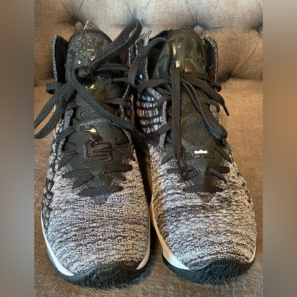 New NIKE LeBron Arena Mens Shoes
